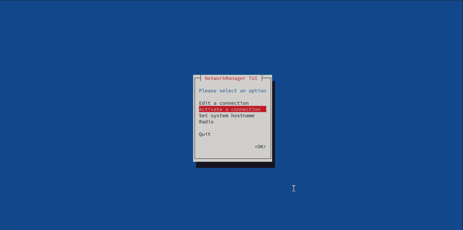 nmtui activate connection