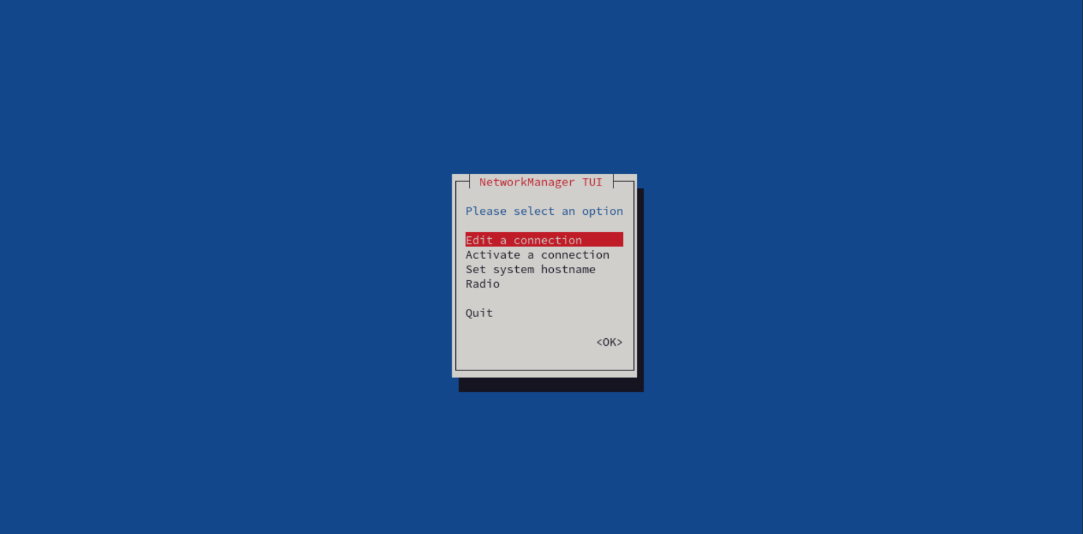 nmtui edit connection